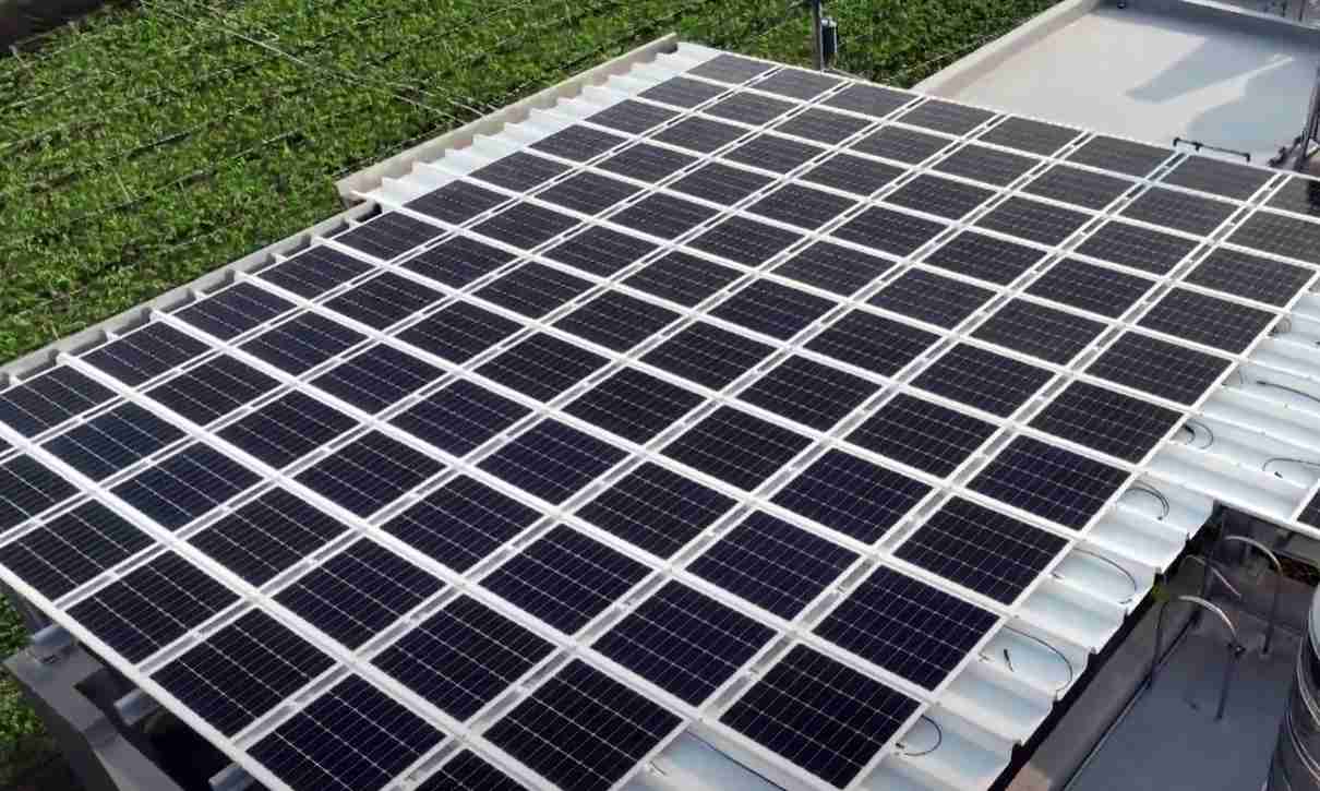 菠菜论坛SunSteel光电浪板升级双玻结构，，，，以提升机械负载强度及气候耐候度，，，可广泛运用于多元场域