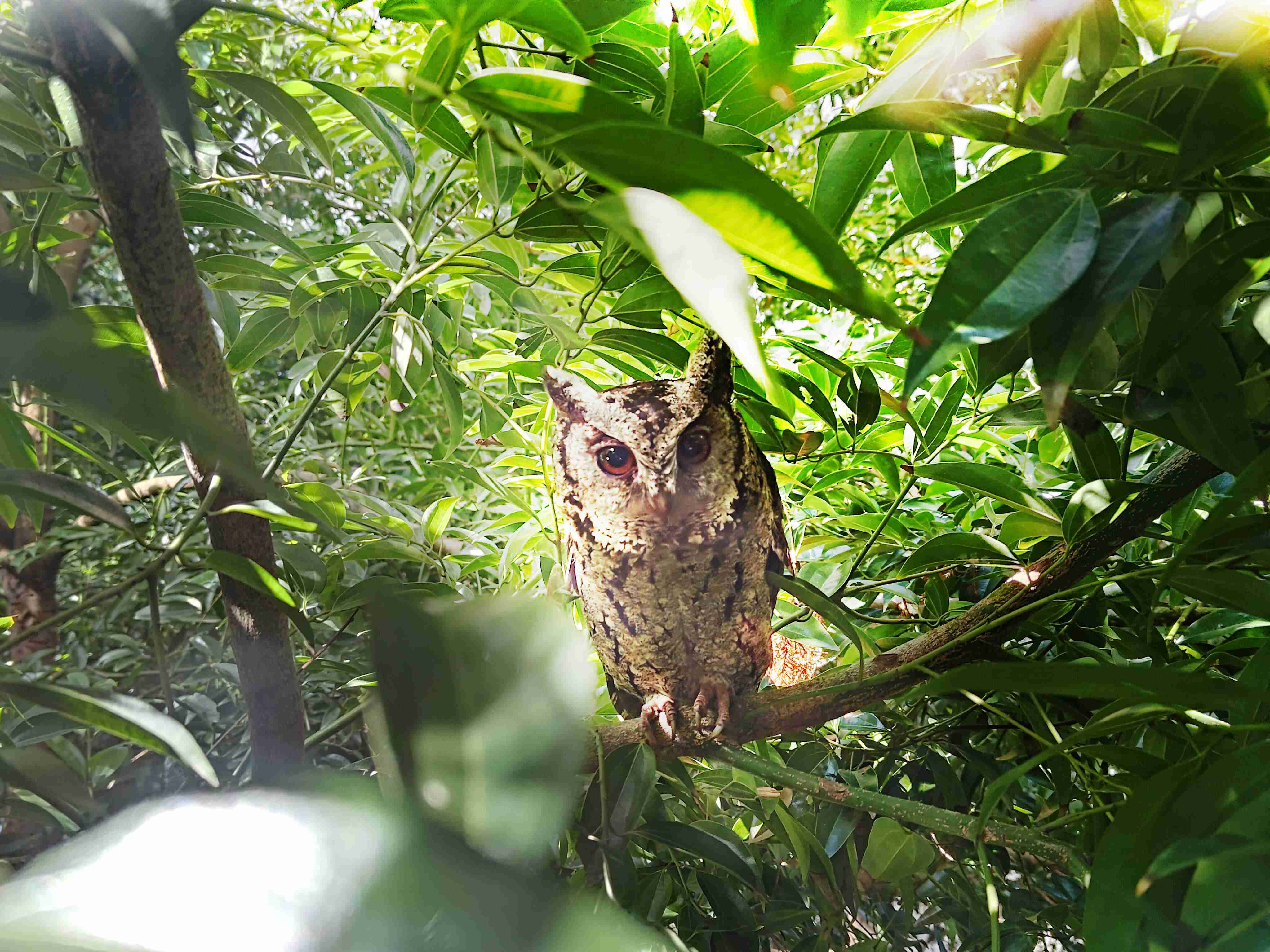 菠菜论坛致力提倡净零绿生活，，，16年以来在全球各厂区植树逾百万棵，，，，造就各厂区树木蔚然成林，，，犹如森林工厂，，，成为许多生物的栖息地